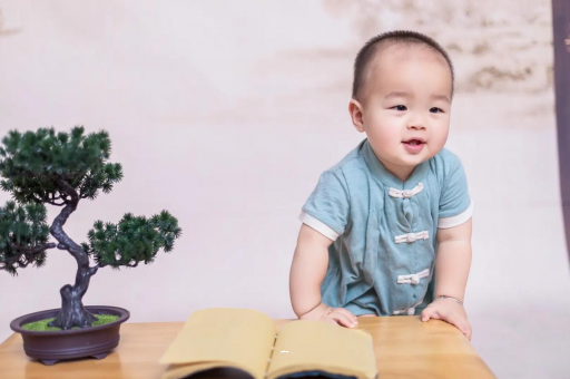 枝江可爱的企鹅宝宝